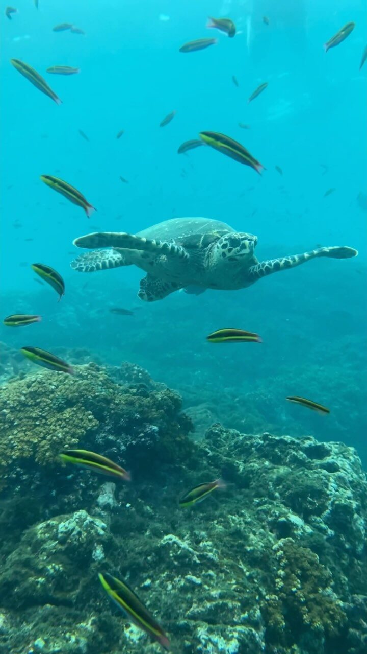 Instagram post from pacificexpeditions. This post is in position 4.