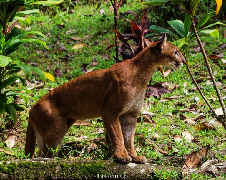 Instagram post from pacificexpeditions. This post is in position 2.