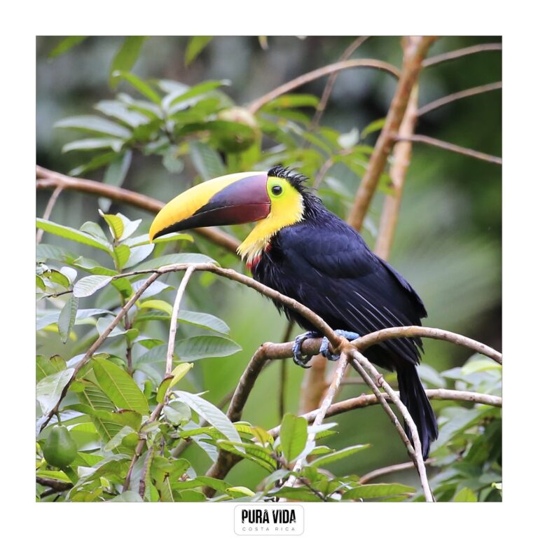 Instagram post from pacificexpeditions. This post is in position 3.